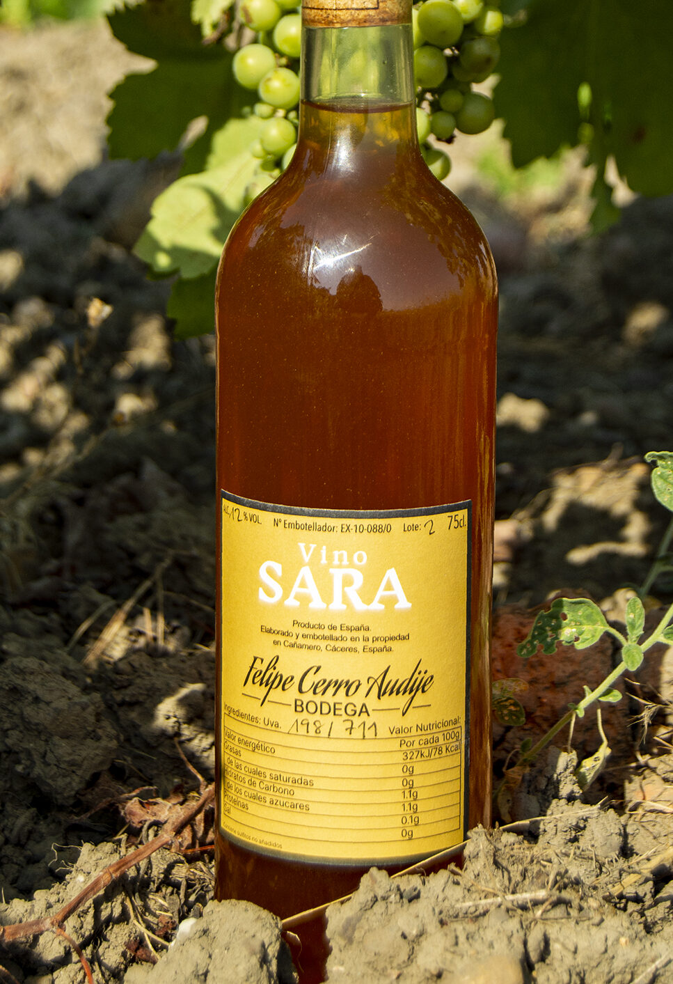 Botella de vino naranja con etiqueta amarilla donde pone Sara fotografiada junto a una viña.