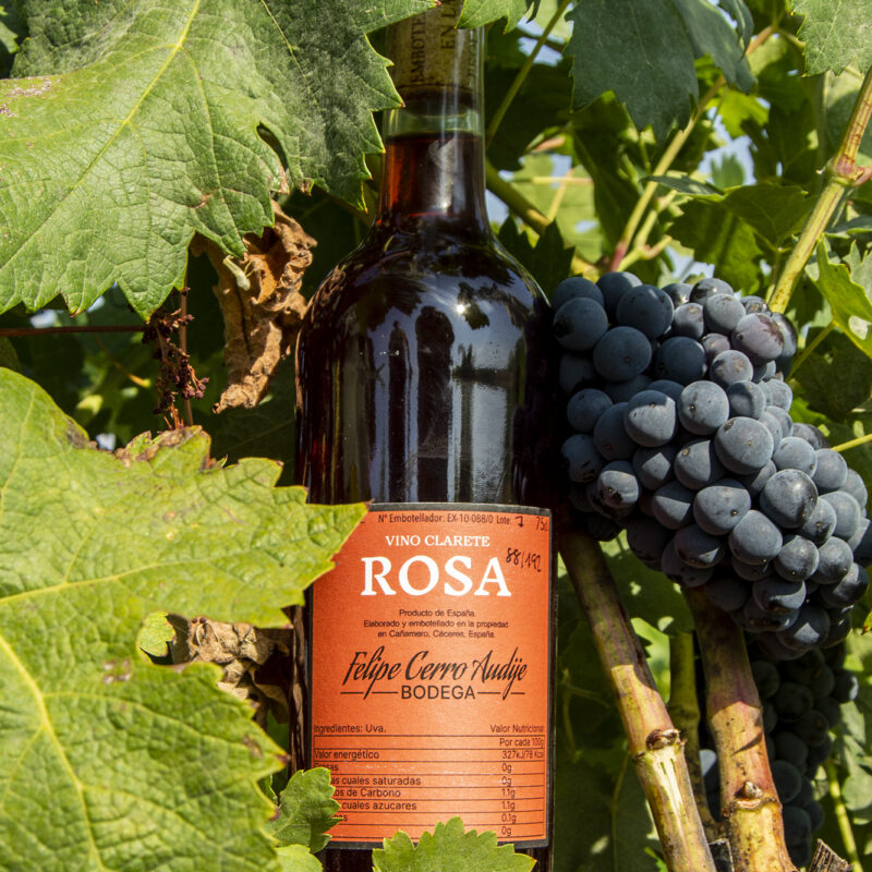 Foto de una botella de vino en una cepa con uvas tintas de fondo. La etiqueta dice Rosa
