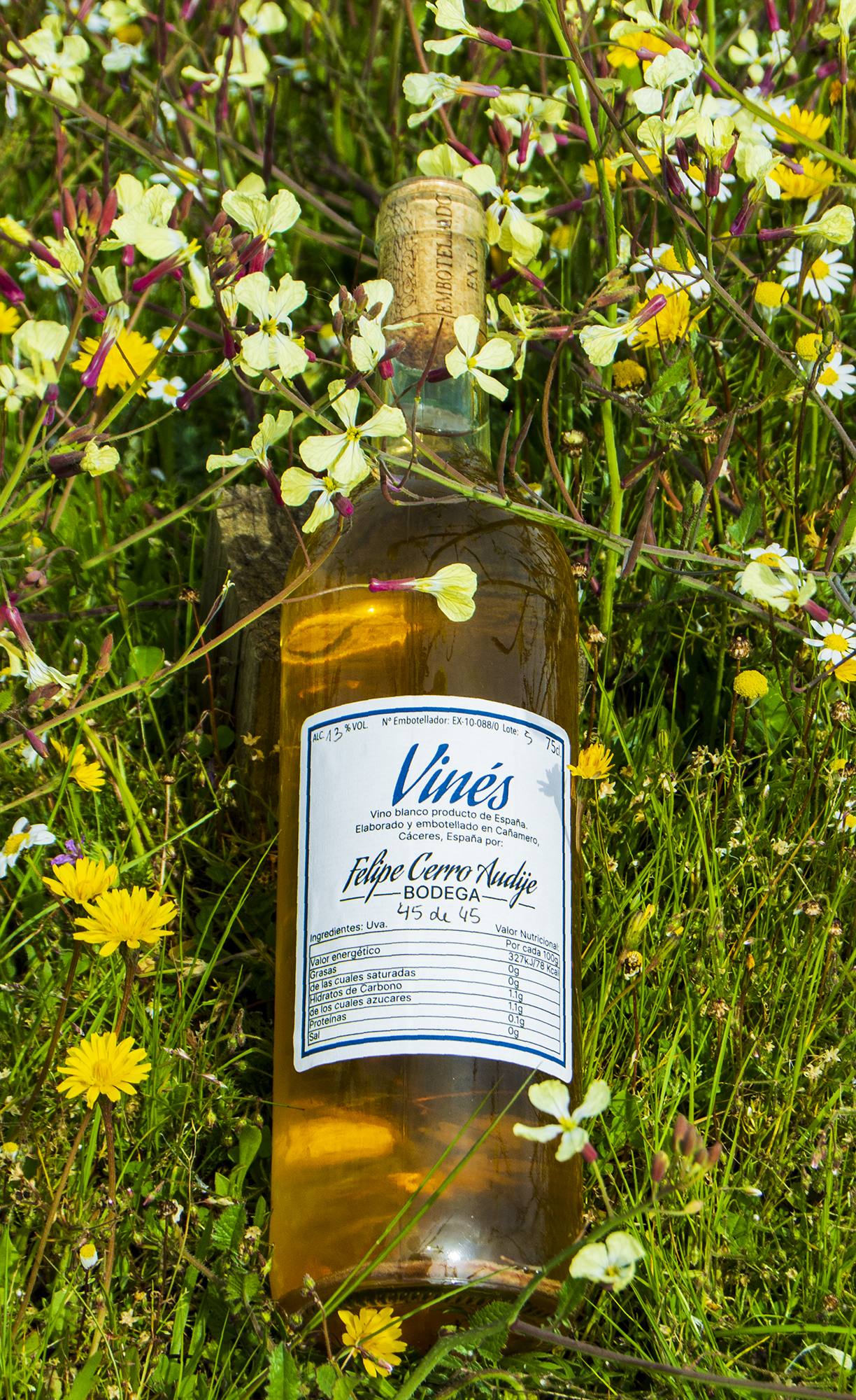 Foto de una botella de vino blanco en un prado con margaritas y otras flores. La etiqueta dice Vinés