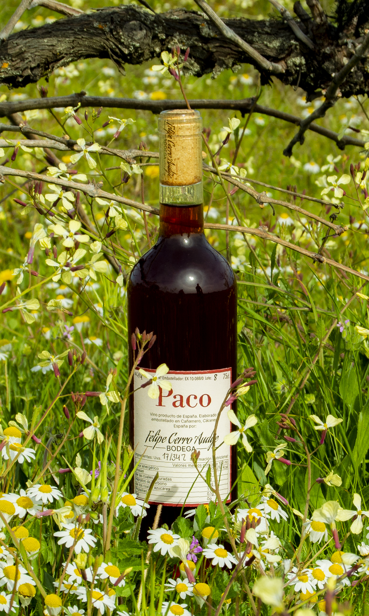 Foto de botella de vino entre flores y viñas. En la etiqueta pone Paco